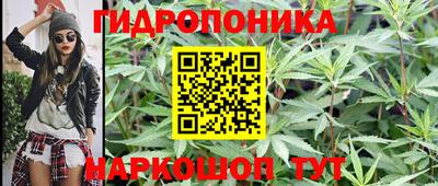 jwh Будённовск