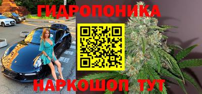 jwh Будённовск