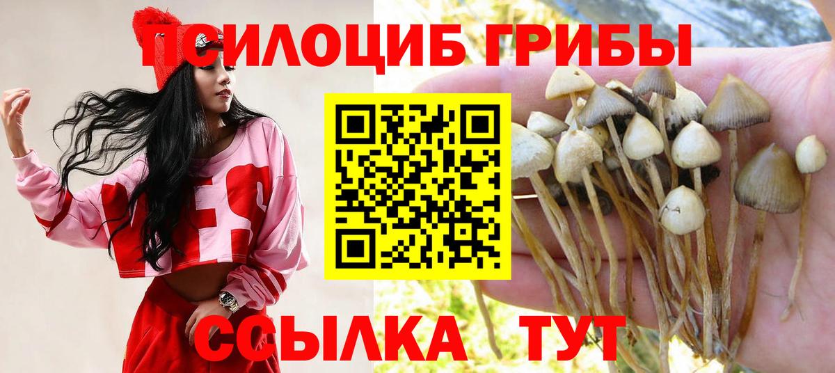 Псилоцибиновые грибы MAGIC MUSHROOMS  Вход с VPN  Кохма 